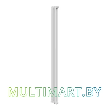 Стальной трубчатый радиатор Royal Thermo Shift R22 VC2180 (4 секции, RAL9016)